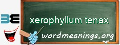 WordMeaning blackboard for xerophyllum tenax